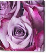 Lavender Rose Bouquet Canvas Print