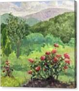 Roses On The Mountaintop Canvas Print