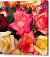 Roses, Roses Canvas Print