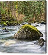 Rosewall Creek 2 Canvas Print