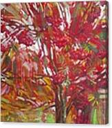 Rowan Tree Canvas Print