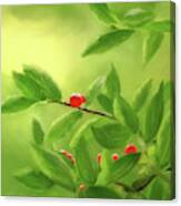 Rubies In The Forest Canvas Print