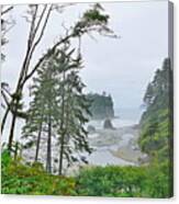 Ruby Beach Canvas Print