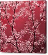 Ruby Canvas Print