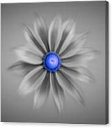 Rudbeckia Blossom Irish Eyes - Selective Color Blue Canvas Print
