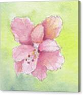 Ruffled Hibiscus #2 Canvas Print