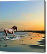 Run Like The Wind At The North Sea Canvas Print