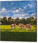 Rural Netherlands Canvas Print