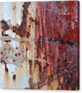 Rust #11 Canvas Print