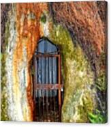 Rusted Gate Canvas Print