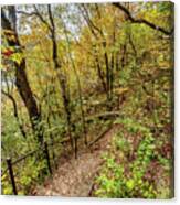 Rustic Woody Fall Hike Canvas Print