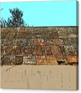 Rusty Roof Canvas Print