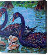Safeguarding Black Swans Canvas Print