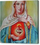 Saint Mary S Sacred Heart Canvas Print