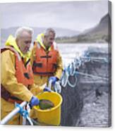 Salmon Farmers Feeding Fish On Pontoon Of Scottish Salmon Farm Over Sea Loch Canvas Print