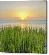 Salt Grass Sunset Canvas Print