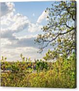Saltmarsh And Hickory Tree In Spring Canvas Print