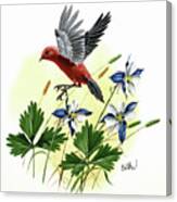 Scarlet Tanager And Blue Columbine Canvas Print