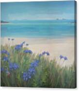 Scillies Beach Canvas Print