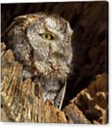 Screech Profile Canvas Print