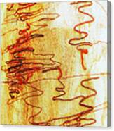 Scribbly Gum Tree Bark 2 Canvas Print