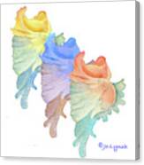 Sea Shells In Beach Colors Canvas Print
