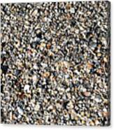 Sea Shells Under My Feet Canvas Print