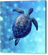 Sea Turtle Bubbly Blues Canvas Print