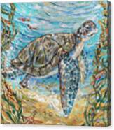 Sea Turtle Cheer Canvas Print