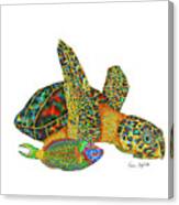 Sea Turtle White Background Canvas Print