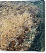 Sea Water And Rocks In A Cove On The Mediterranean Coast Canvas Print