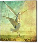 Seagull Ballet Canvas Print