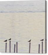 Seagull Sentry Canvas Print