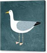 Seagull Standing Canvas Print