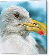 Seagull With Red Spotted Beak Canvas Print