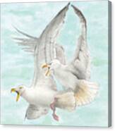 Seagulls Fighting Canvas Print