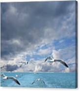 Seagulls Flying Across The Ocean Canvas Print