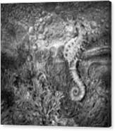 Seahorse At The Reef Black And White Canvas Print