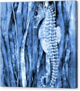 Seahorse In Blue2 Canvas Print