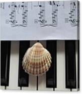 Seashell Dream On The Piano 2 Canvas Print