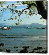 Seaside Landscape With Tree Canvas Print