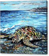 See Weed Turtle Canvas Print