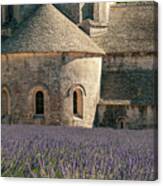 Senanque Lavender Canvas Print