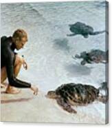 Senator Taylor Pryor With Sea Turtles Canvas Print