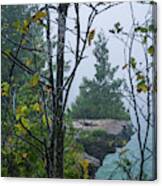 Sentinel Cedar At Cave Point And A Droplet-bedazzled Spiderweb - Door County Wisconsin Canvas Print