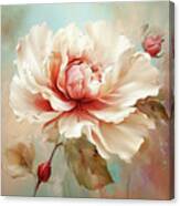 Serenity Rose Canvas Print