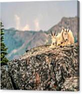 Sharing Rest Spot Canvas Print