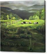 Sheep Of Norwich Vermont Canvas Print