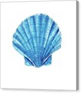 Shell Canvas Print