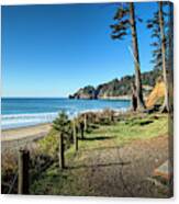 Short Sands Beach Oswald West State Park Oregon Coast Canvas Print